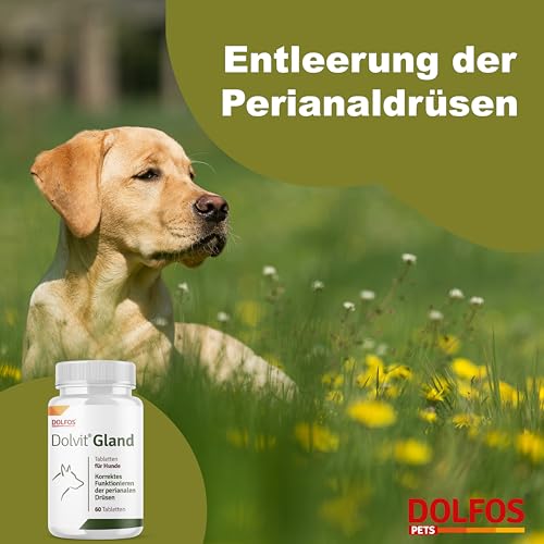 Dolvit Gland Analdrüsen Hund, 60 Tabletten für Hunde, Spezial-Analdrüsenkur mit Kräuterextrakten, Flohsamenschalen & Smektit, Unterstützung Verdauung, korrekte Kotbildung, mittlere & große Hunde