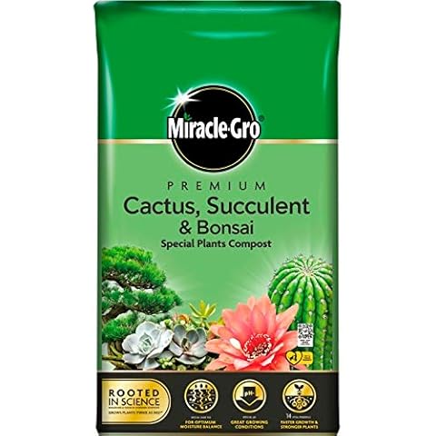 Miracle-Gro Cactus Compost for Gardening Cover