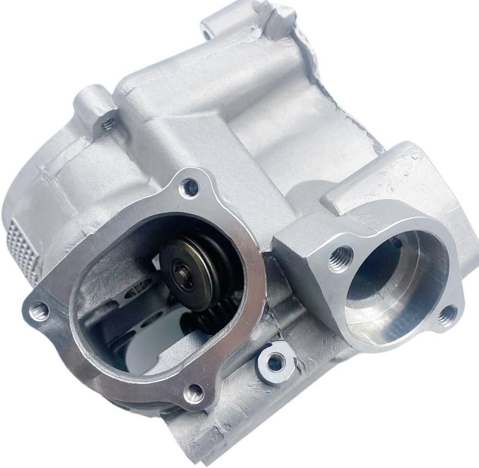 Cylinder Head Assy For L 260CC 300CC LH260 LH300 ATV UTV 22401A