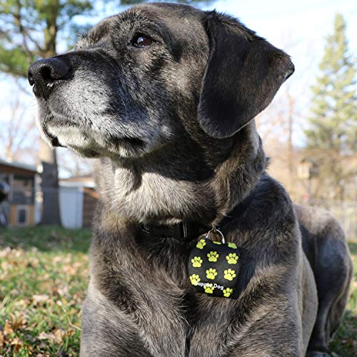 Image of Dapper Dog - Dog Tag Silencer with Tag Ring (Yellow Paw Prints)
