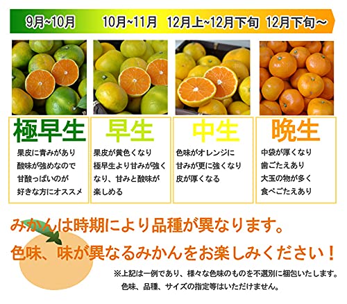 Amazon.co.jp: 訳あり みかん 10kg（箱込約10kg）和歌山県産 ご家庭用