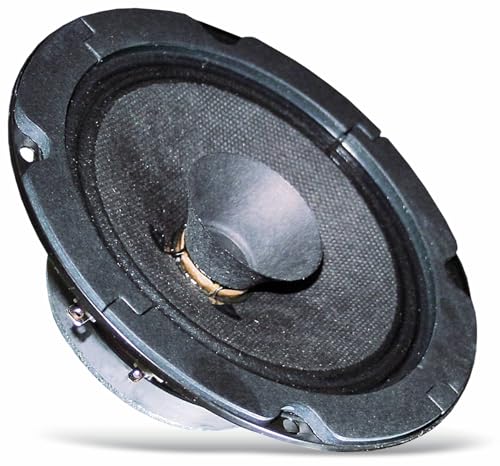 Alta efficienza Visaton VS-BG13P