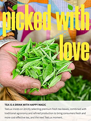 Image of TeeLux Jasmine Green Tea Bags, Smooth Taste & Delicate Floral Aroma, 100 ct