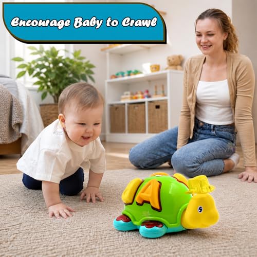 Image of WISHKEY Plastic Bump and Go Toy for Kids, Adorable Cartoon Design Turtle Toy with Moving Parts, Battery Operated Toy Turtle with Lights and Music, Multicolor, 3+ Years (Pack of 1)