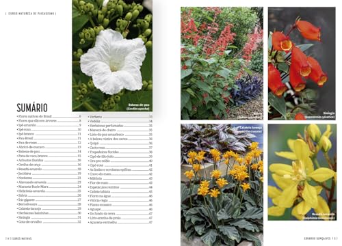 Curso Natureza de Paisagismo - Coleção 3 Volumes