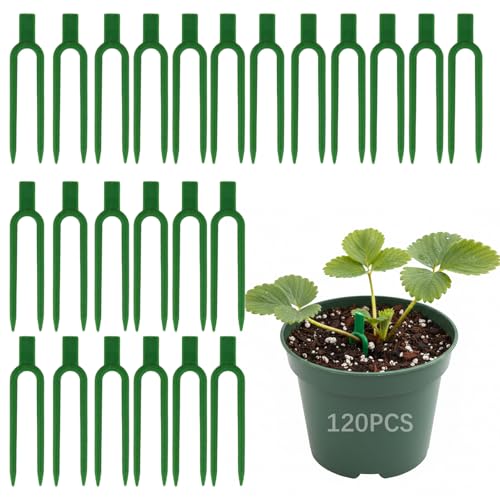 120 Pcs Strawberry Plant Support Pins Plastic U-Shaped Garden Anchor Clips for Plant Cuttings and Runners Rooting Reusable Plant Fixing Pins for Garden Use (Green)