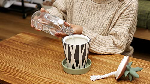 Amazon | Onlili(オンリリ)陶器エコ加湿器 気化式 ONL-HF016 (WH