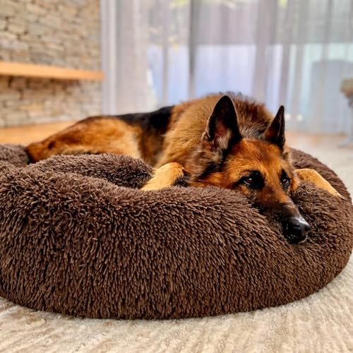 Image of ZEXSAZONE Summer Round Doughnut Comfortable Durable 2 in 1 and Washable Pet Bed | Cat Bed | Puppy Bed | Dog Bed | Medium Dog Bed for Cats Puppies Labrador German (Brown, XL)