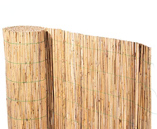 bambus-discount.com Schilfrohrmatte bambussi 100x500cm mit grünem Draht verwebt - Niedrige Sichtschutz Schilfmatte 1m x 5m