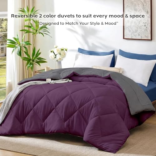 Image of AYKA Reversible AC Comforter 150 GSM Lightweight Microfiber Summer Blanket for Single Bed (60x90 Inches) | Soft Cooling Quilt, Breathable All Season Duvet for AC Room | Burgundy & Grey