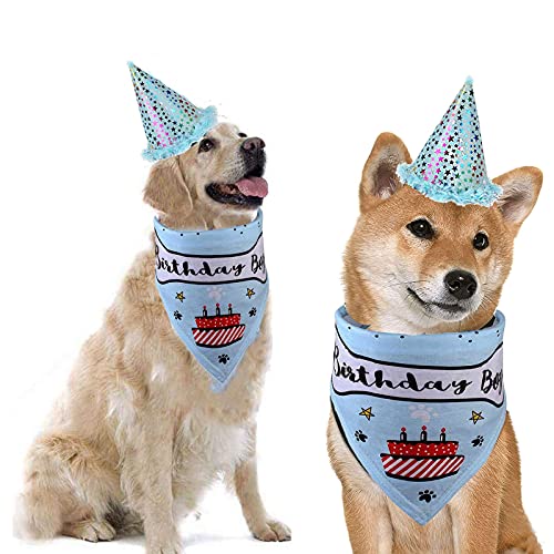 Set Cappello e Bandana per Cane Cappello