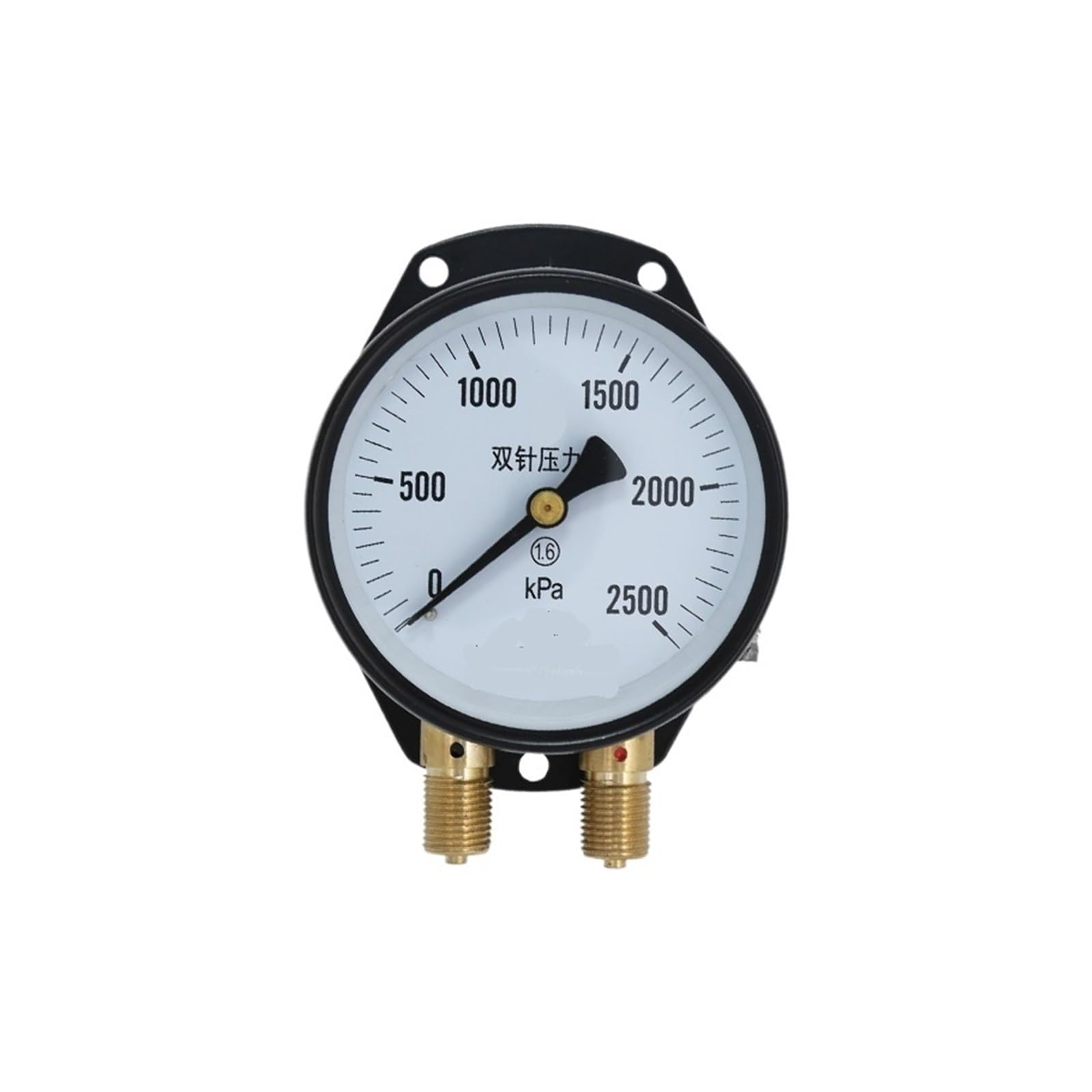 Manómetro de Doble Aguja y Doble Tubo YZS-102(0-1200kPa)