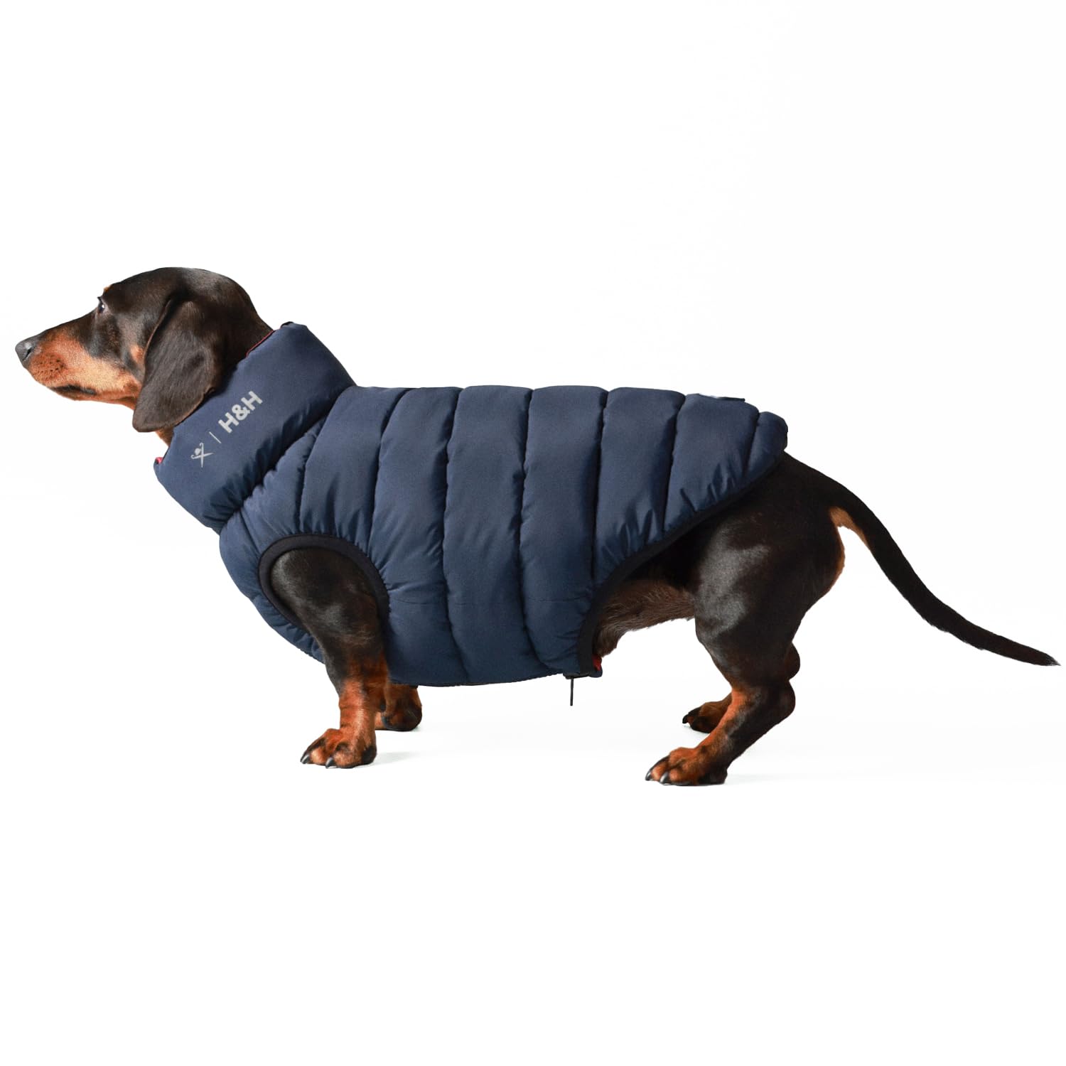 HUGO & HUDSON x HACKETT Reversible Dog Puffer Jacket Warm Winter Coat, Navy & Berry L55
