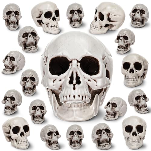 Aoriher 20 Pieces Halloween Skull Plastic Realistic Looking Skeleton Skull Human Skeleton Head Fake Decor Miniatures for Crafts Halloween Decorations for Home Table Bar Decor 3 Sizes(Large)