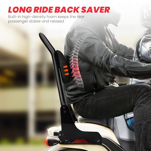 Kekykm TL-118 Backrest Sissy Bar Fit thumb #3