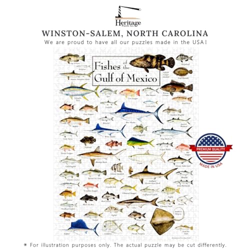 Heritage Puzzle Fishes of The Gulf of Mexico por Diane Peebles 550 piezas | Rompecabezas de 550 piezas para adultos, escena costera de vida marina oceánica 18" x 24" tamaño terminado miniatura 5
