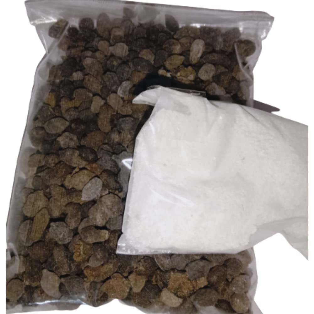 NAGARI Goat Manure with Egg Shell Powder for Instant Fertilizer to Plant Growth| fertilizer for plants home gardening 2kg pack of 2 (B0BFH6R59V) Amazon Price History, Amazon Price Tracker