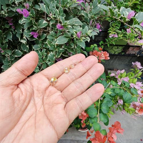 Image of Shiny Gold Rondelle Glass Beads for Jewelry Making, Faceted Briolette Crytal Spacer Beads for Bracelet Necklace Earring (2mm 4mm 6mm 8mm 10mm Mixed Sizes, 1000pcs)