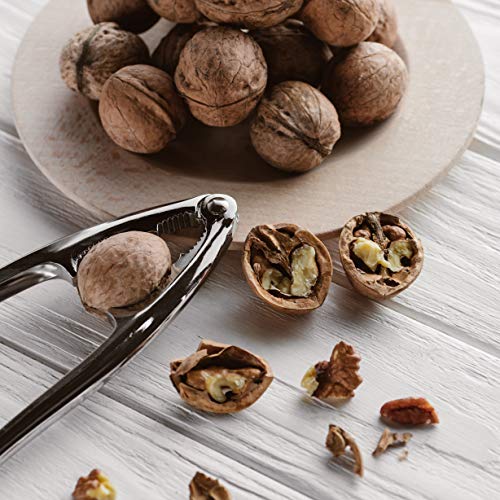 TRIXES Nutcracker - Walnut Nut Cracker Opener with Rubber Grips - Heavy Duty Metal Nut Crackers - Non Slip - Seafood Shell Cracker - Silver Chrome - Image 6