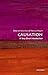 Causation: A Very Short Introduction (Very Short Introductions)