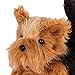 Our Generation by Battat- Yorkshire Posable Dog- Toys, Accessories, and Pets for 18 inch Dolls- for Age 3 and Up