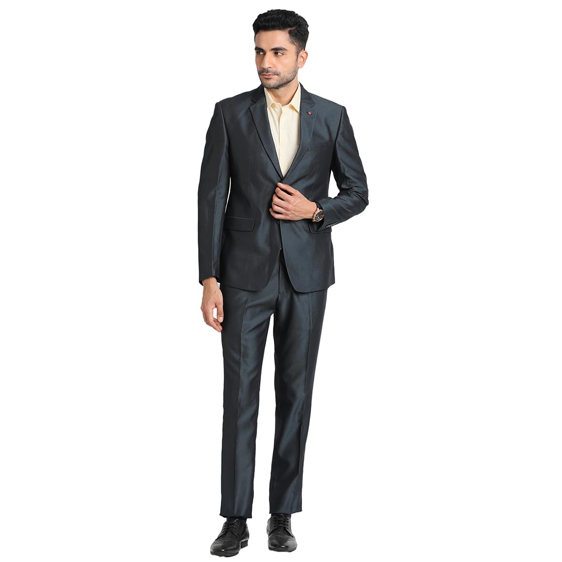 turtle Men Terry Rayon Charcoal Grey Formal Suit (2 Piece)-picture-13
