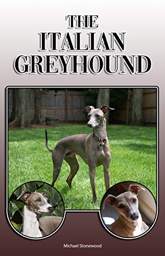 greyhound obedience training