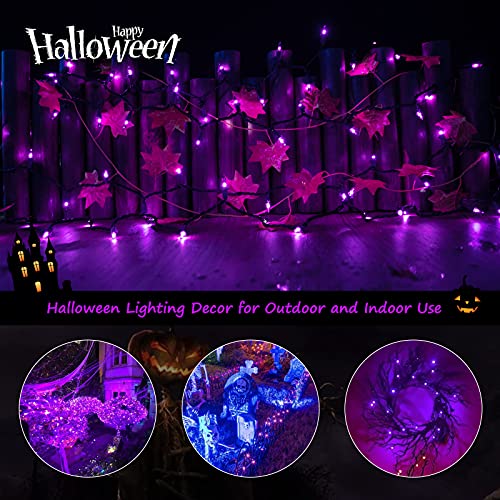 Minetom Halloween String Lights Outdoor 2 Pack 100 Count 25 Feet Incandescent Bulb Mini Lights For Christmas Indoor Garland Party Festival Decoration, Purple #TOP1