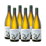 vino blanco somontano pirineos Se presenta amarillo brillante con reflejos verdes; fragancia intensa, con notas frutales y tropicales. En boca es delicado, con moderada e integrada acidez, junto a tonos tostados de madera