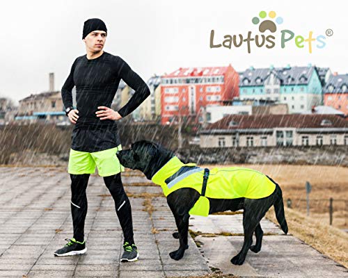Lautus Pets Wasserdichter Hunderegenmantel, reflektierenden Sicherheitsstreifen & Leinenöffnung – Leichte, jacke für mittelgroße Hunde - M, Gelb
