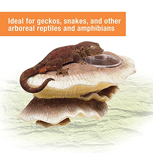 Zilla Vertical Décor Mushroom Feeding Ledge One Size #TOP3