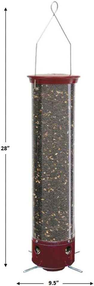 Droll Yankees YCPD90 Dipper Squirrel Proof Bird Feeder with dimensions labeled