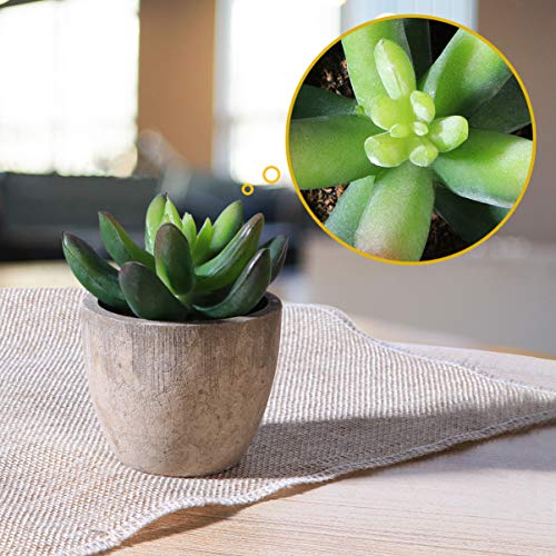 PRETYZOOM Plantas artificiais suculentas com vasos, flores artificiais, cacto, plantas suculentas, d