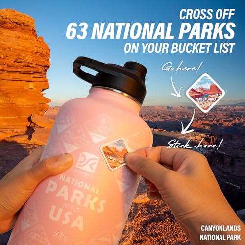 Insulated Water Bottle | Thickened Stainless Steel Vacuum Metal | Portable Sports Half Gallon Large Water Jug for Gym and Hiking with Straw, Carrier Bag, Handle Strap | BPA-Free 64 oz
