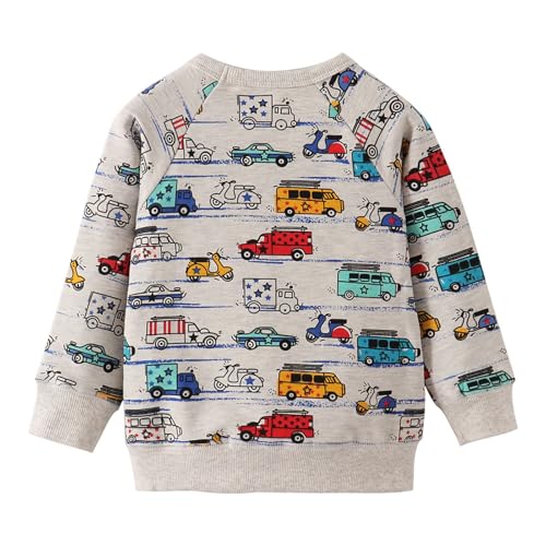 Toddler Boys Crewneck Sweatshirts Kids Baby Cute Print Cotton Pullover Long Sleeve T-Shirts Tops Warm Sweatshirt3