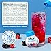 Stur Liquid Water Enhancer | Electrolyte Variety Pack | Naturally Sweetened | High in Antioxidant Vitamin C | Sugar Free | Zero Calories | Keto | Vegan | 5 Bottles, Makes 90 Drinks
