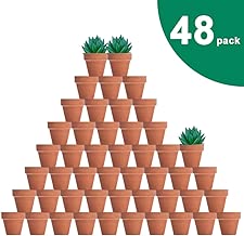 48 Pcs Tiny Terracotta Pots - 2 inch Small Mini Clay Pots with Drainage Holes Flower Nursery Terra Cotta Pots for Indoor/Outdoor Succulent Plants, Crafts, Wedding Favor - coolthings.us
