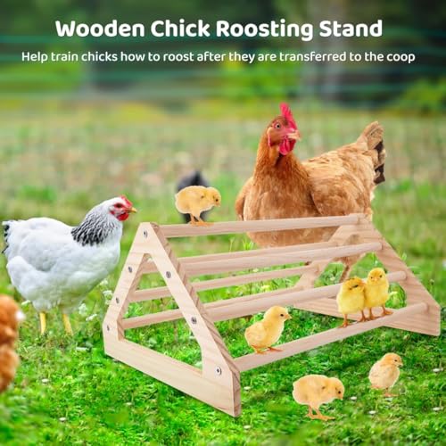 Image of Chicken Perch,Wooden Chicken Roosting Bar,Chick Brooder,Perches Stand Training Perch for Baby Chicks,Chicken Coop Accessories