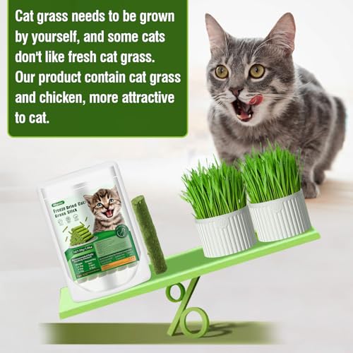 Hkpetie 30G Cat Grass Teething Stick, Delicious Cat Treat Snack Edible Cat Chew Toy For Teeth Cleaning And Hairball Removal In Cats thumb #7