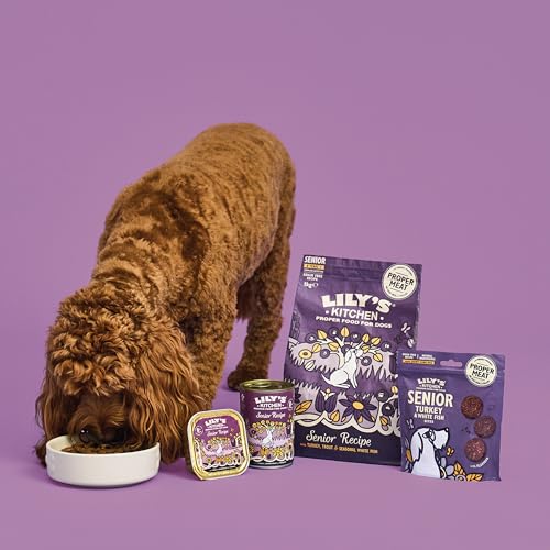 Lily’s Kitchen Mit natürlichen Zutaten hergestellt Trockenfutter für Seniorhunde Truthahn & Forelle Vollwertige Ernährung 2.5kg Beutel – Ansicht 4