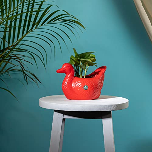TrustBasket Duck Pot Set | Sturdy Table Top Planter Pot (Red) | Heavy Duty Plastic Indoor and Outdoor Planters for Home Decor