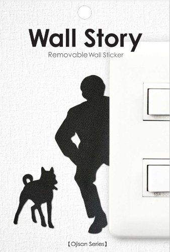Wall Story V[Y ̂ pbP[WTCYW100×H148mm {̍F TCn AN  WS-O-11