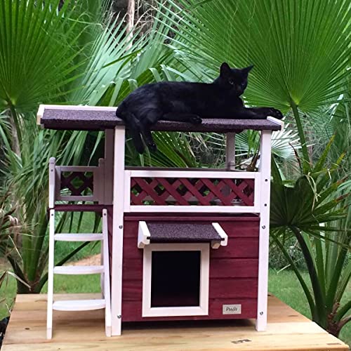 Petsfit 2-Story Outdoor Weatherproof Cat...