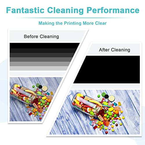 Image of Printhead Cleaning Kit for Epson, 250mL Printer Cleaning Kit for Inkjet Printer, Print Head Cleaning Kit for HP, Print Head Cleaner for Canon Inkjet, Printer Head Cleaning Kit 250mL for Brother Inkjet