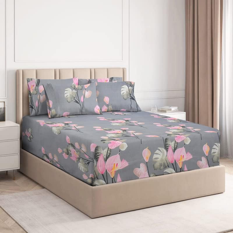 Buy VAS COLLECTIONS Premium Cotton Elastic Fitted Bedsheets with 2