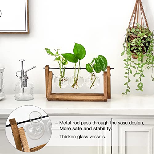 Ivolador Desktop Propagation Station, Bulb Plant Terrarium With Retro Solid Wooden Stand And Metal Swivel Holder For Hydroponics Plants Home Garden Wedding Decor (3 Bulb) #TOP1