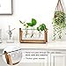 Ivolador Plant Propagation Station,Bulb Plant Terrarium with Wooden Stand,Unique Gardening Gifts for Women Plant Lovers,Hydroponic Indoor Planter Home Office Garden Wedding Decor-3 Bulb Glass Vases