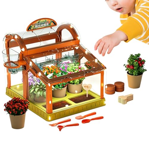 Kit de culture de fleurs de serre idée cadeau enfant mini serre plastique