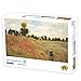 Herize Puzzle 1000 Pièces Adultes Paysage pour Adolescents Enfant | Minions Puzzle 1000 Pièces Paysage de Champ Rural pour Difficile et Défi Jouets Cadeaux éducatifs Décor À La Maison | 42X29.7 CM