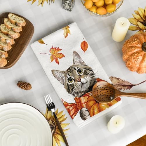 Foto von Artoid Mode Katze Kürbisse Blätter Herbst 42x65 cm 2er Set Geschirrtücher